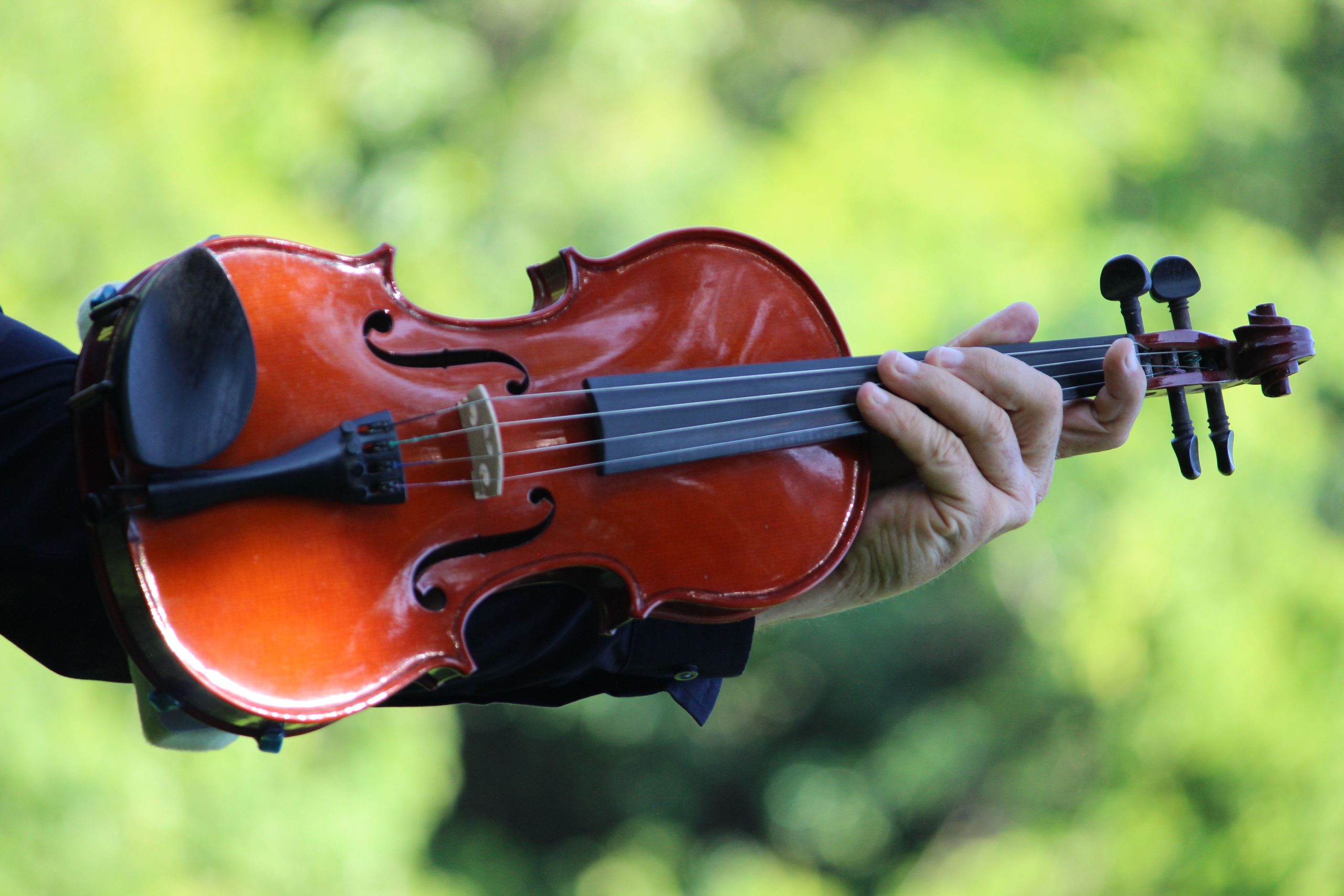 Telegraph String Quartet Relaxed/Accessible Concert (put on by the University of Michigan Music Society)!